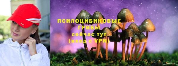 мяу мяу мука Няндома