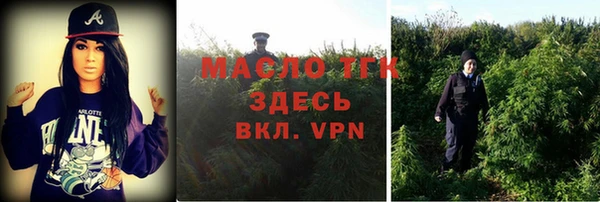 мяу мяу мука Няндома